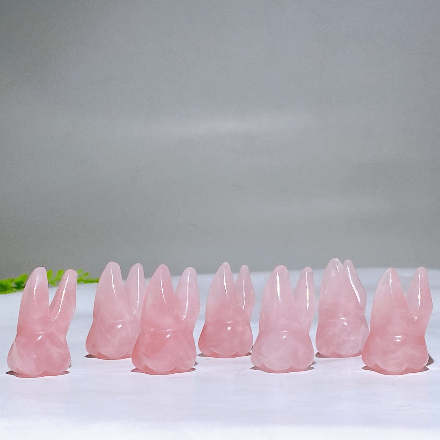 1.3" Natural Rose Quartz Tooth Carving Wholesale