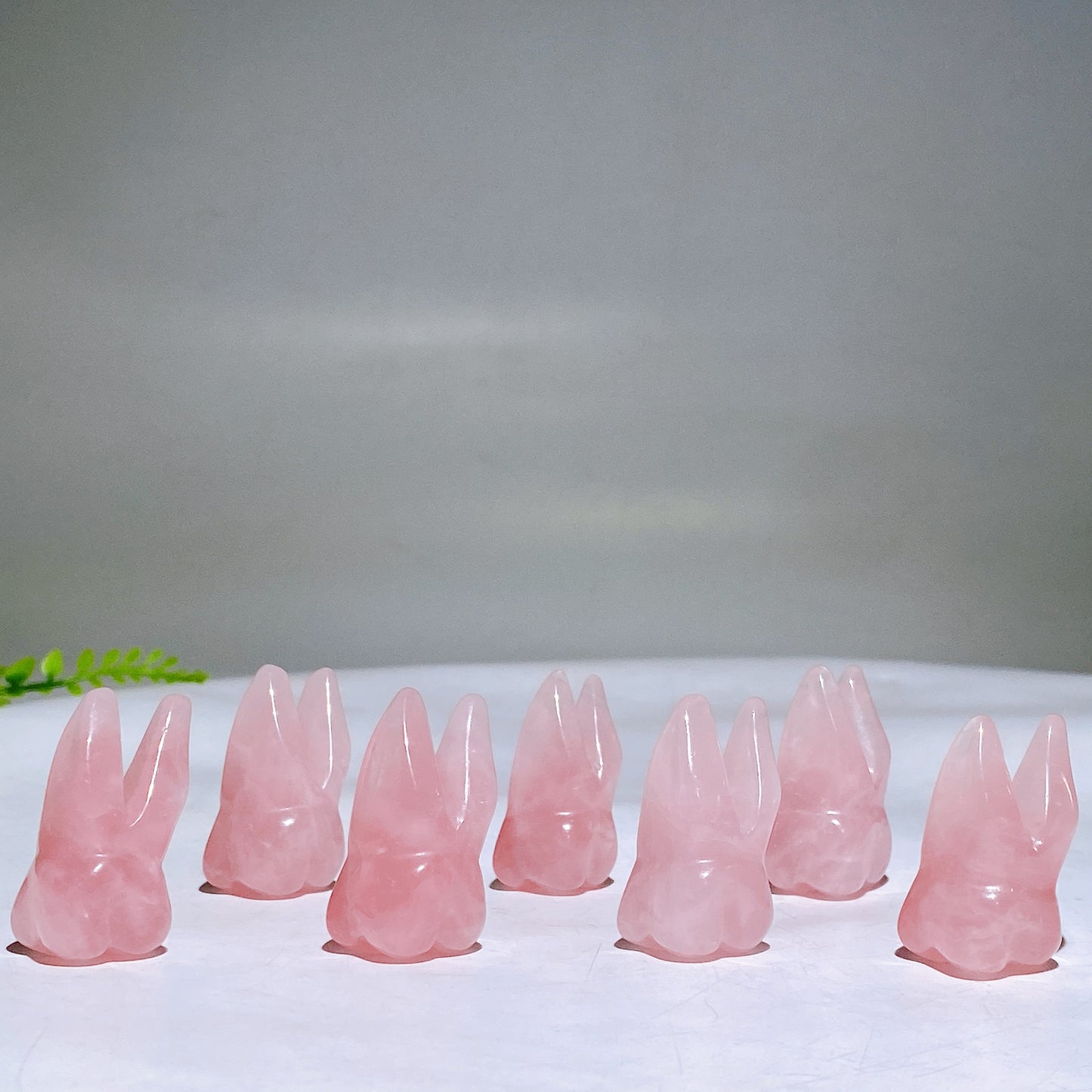 1.3" Natural Rose Quartz Tooth Carving Wholesale