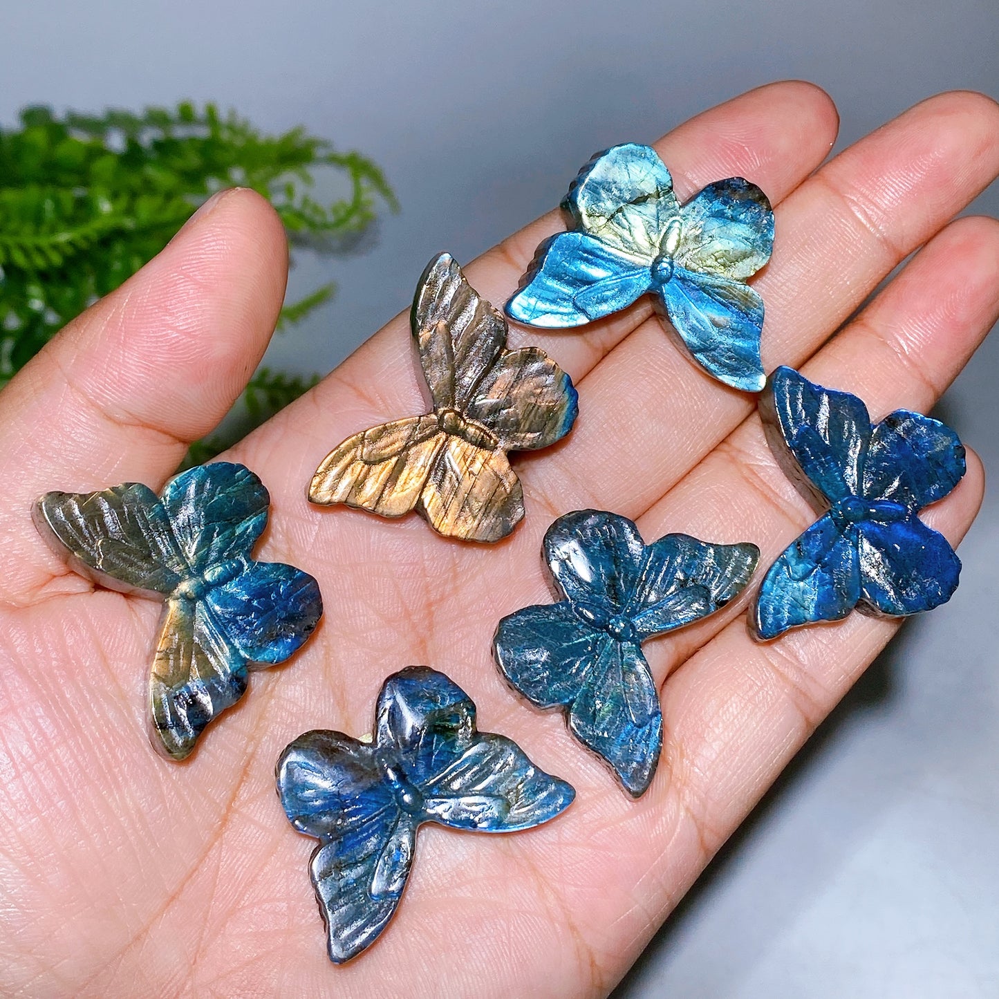 1.3" Labradorite Butterfly Carving Wholesale