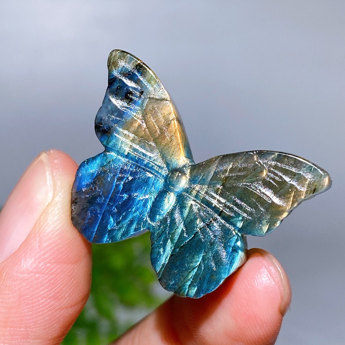 1.3" Labradorite Butterfly Carving Wholesale