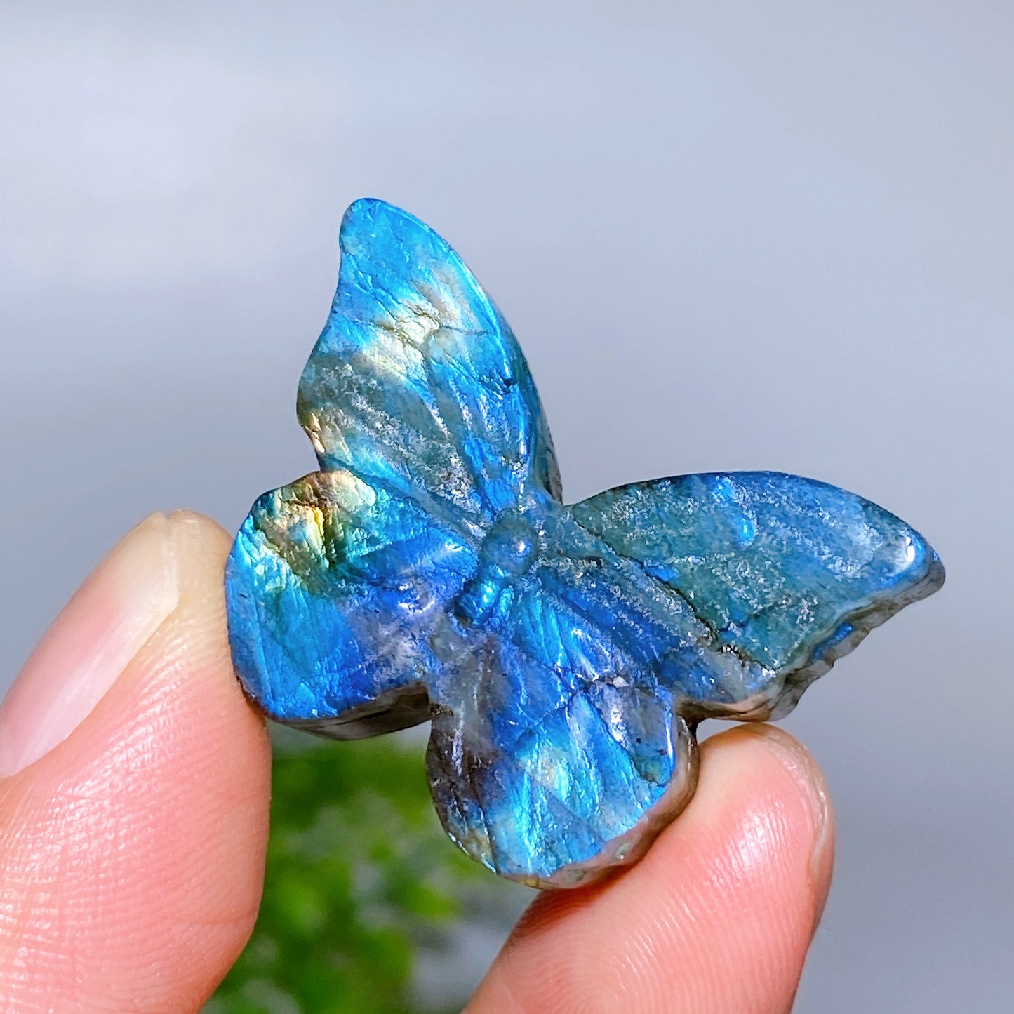 1.3" Labradorite Butterfly Carving Wholesale