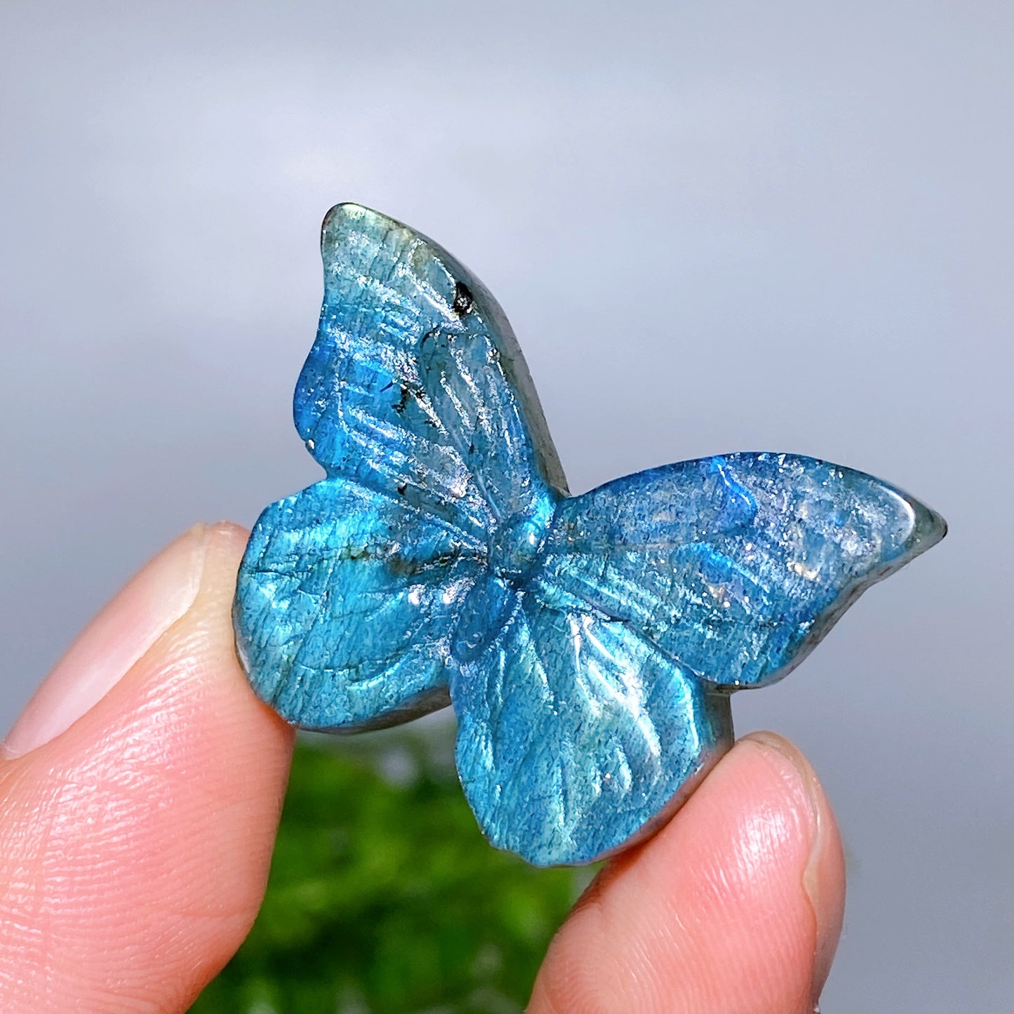 1.3" Labradorite Butterfly Carving Wholesale