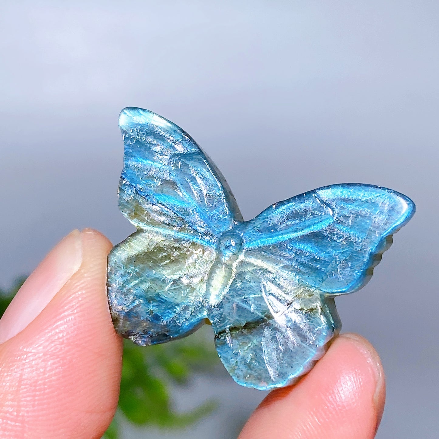 1.3" Labradorite Butterfly Carving Wholesale
