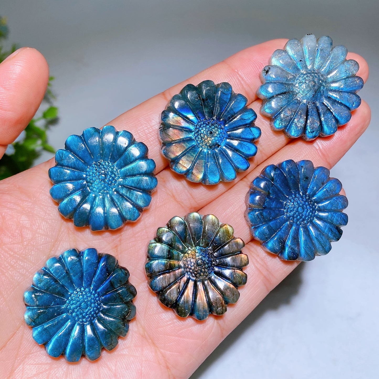1.2" Labradorite Daisy Carving Wholesale