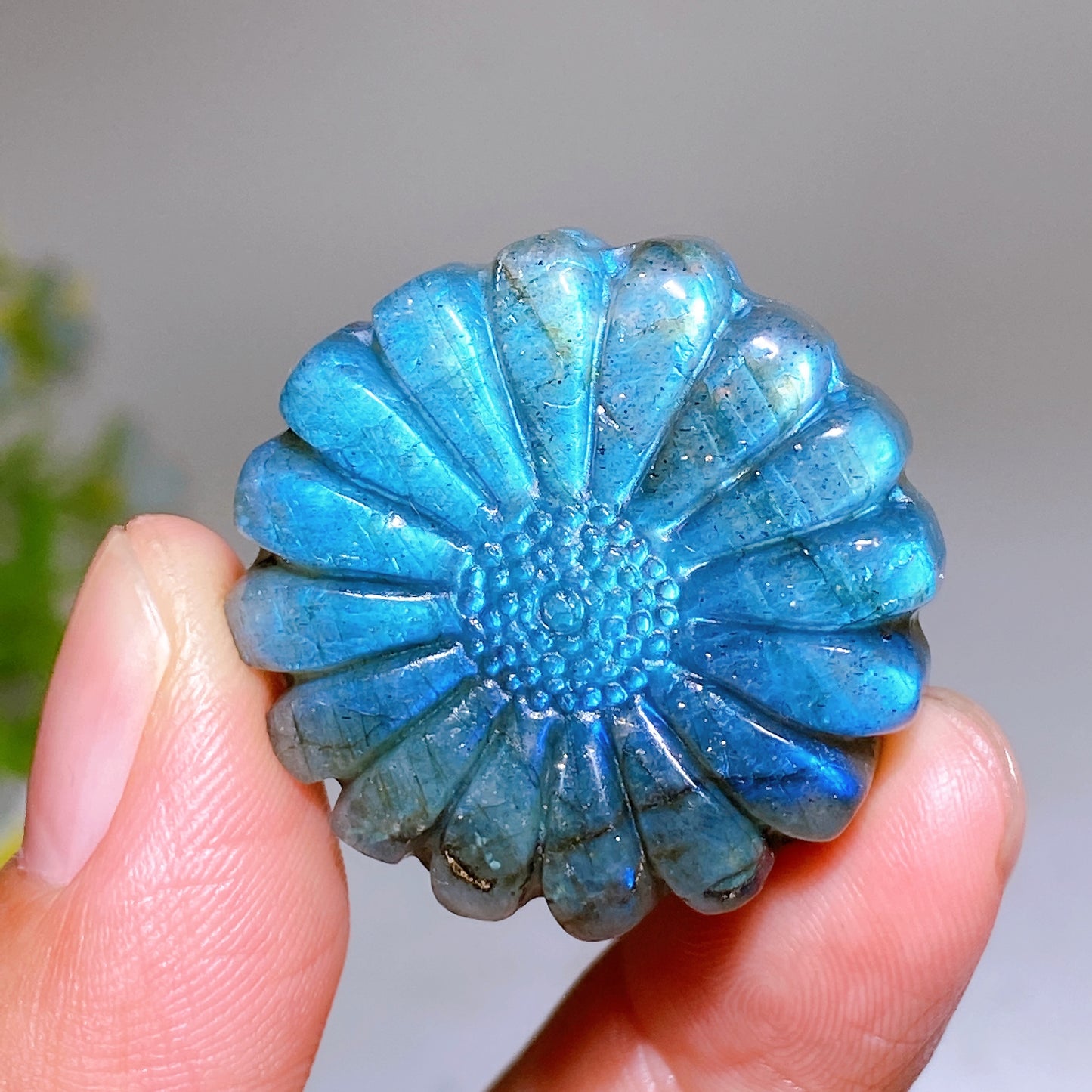 1.2" Labradorite Daisy Carving Wholesale