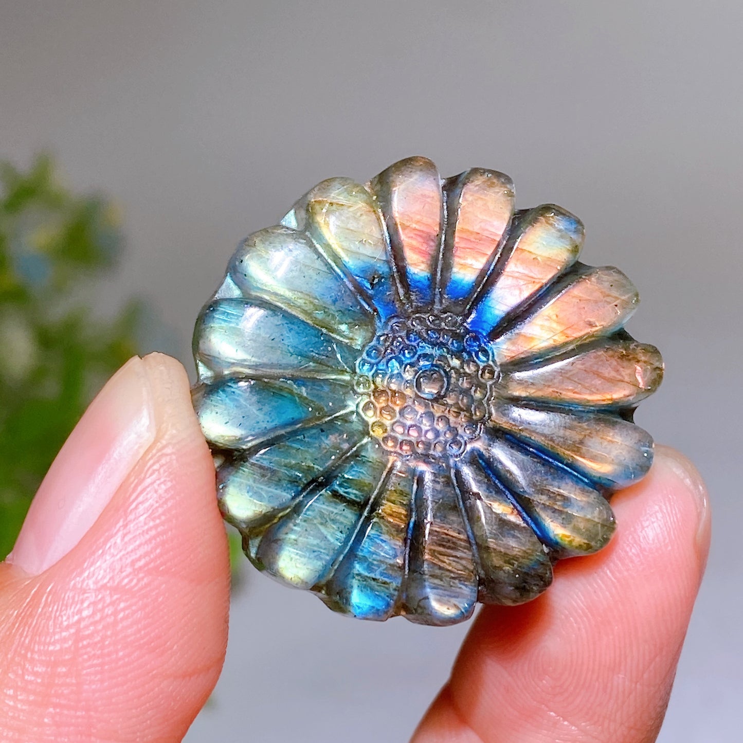 1.2" Labradorite Daisy Carving Wholesale