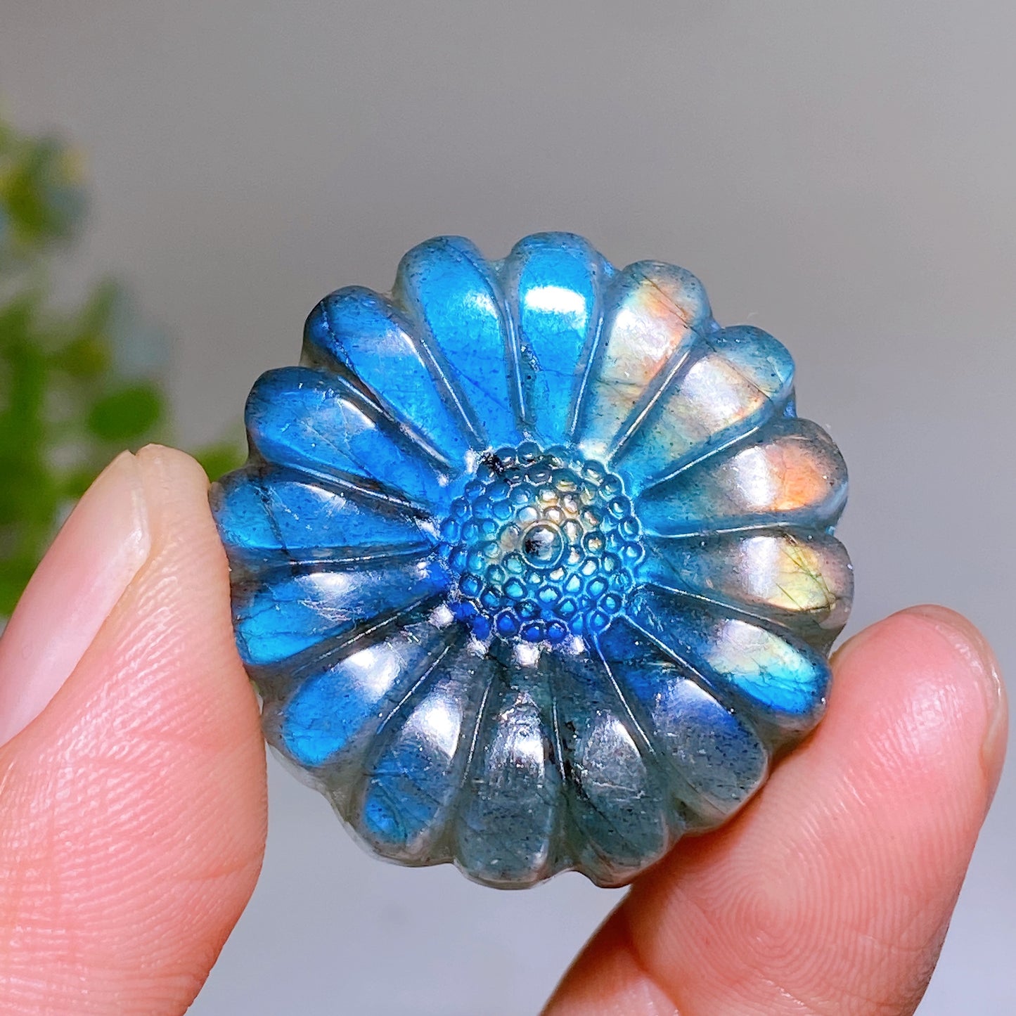 1.2" Labradorite Daisy Carving Wholesale