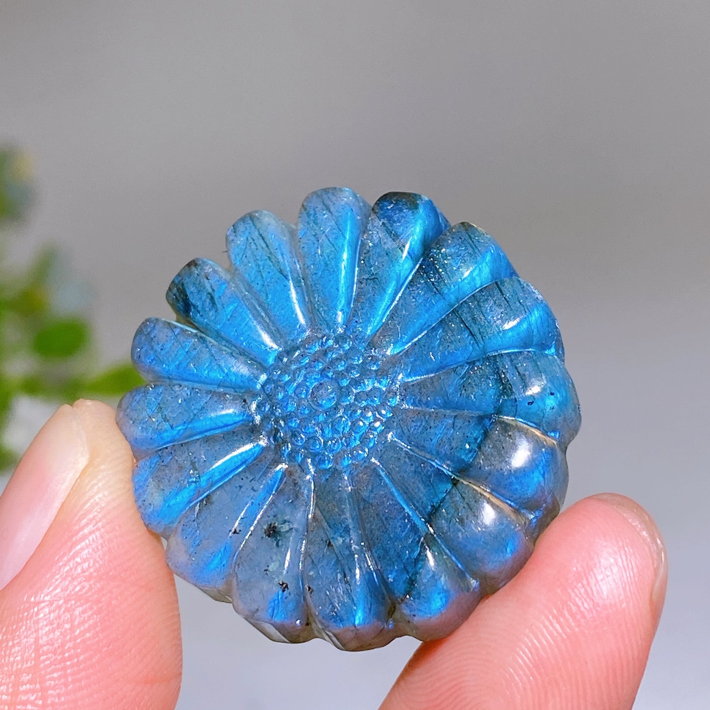 1.2" Labradorite Daisy Carving Wholesale