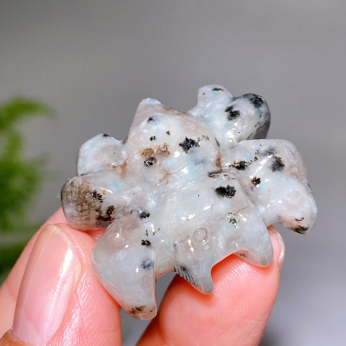 1.3" Natural Crystal Spider Carving Wholesale