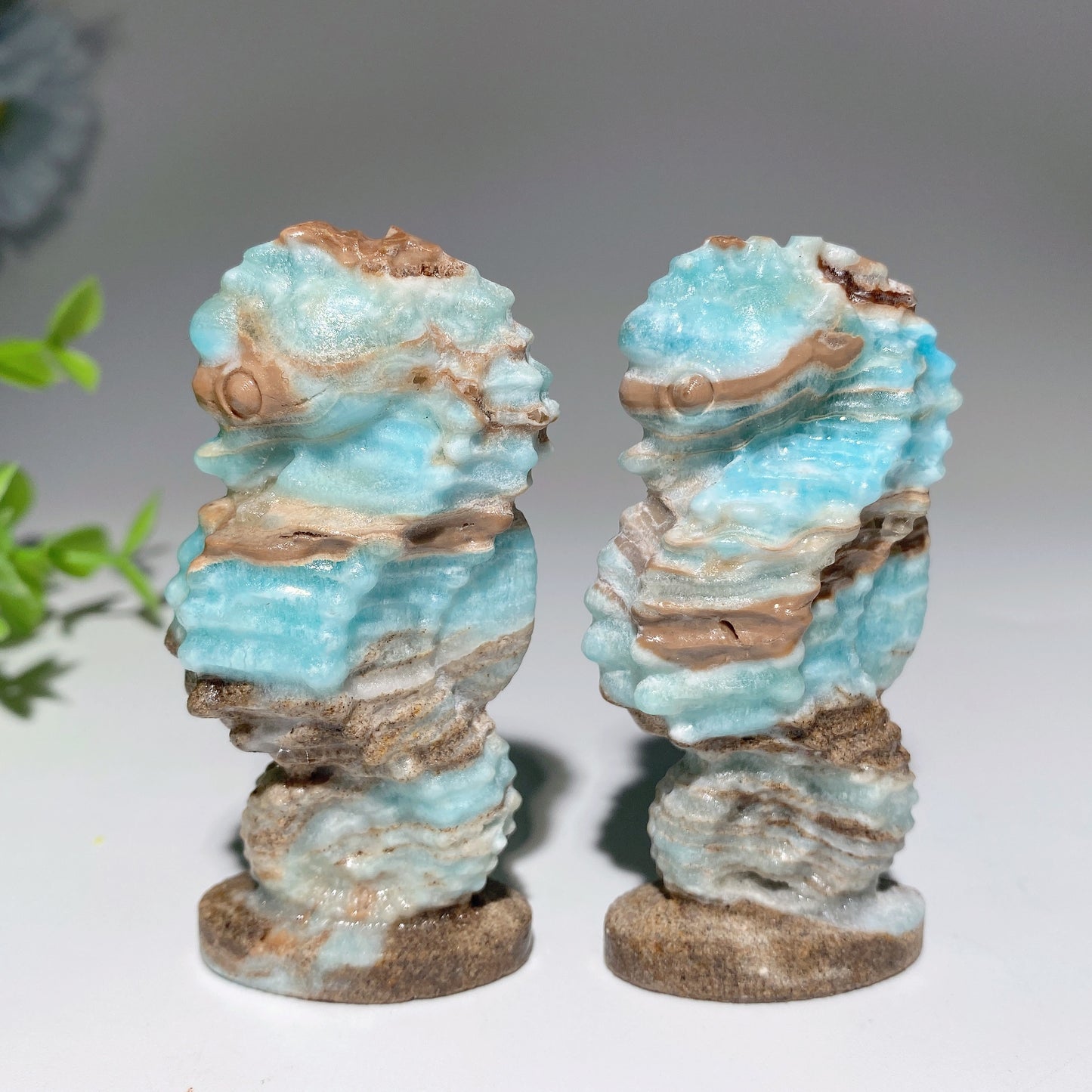 2.8" Hemimorphite Hippocampus Carvings Bulk Wholesale