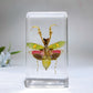 Resin Mantis Free Form Crystal Healing Bulk Wholesale