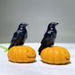 1.9" Natural Black Obsidian Raven on Yellow Jade Pumpkin Carving for Halloween Wholesale