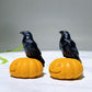 1.9" Natural Black Obsidian Raven on Yellow Jade Pumpkin Carving for Halloween Wholesale