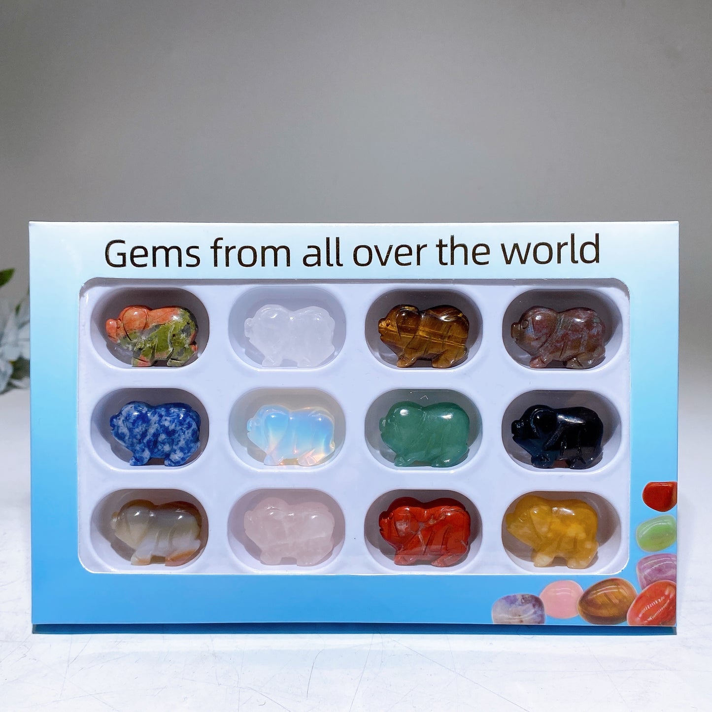 1.0" Crystal Pig Carving Gemstone Box Collection Crystal Healing Bulk Wholesale