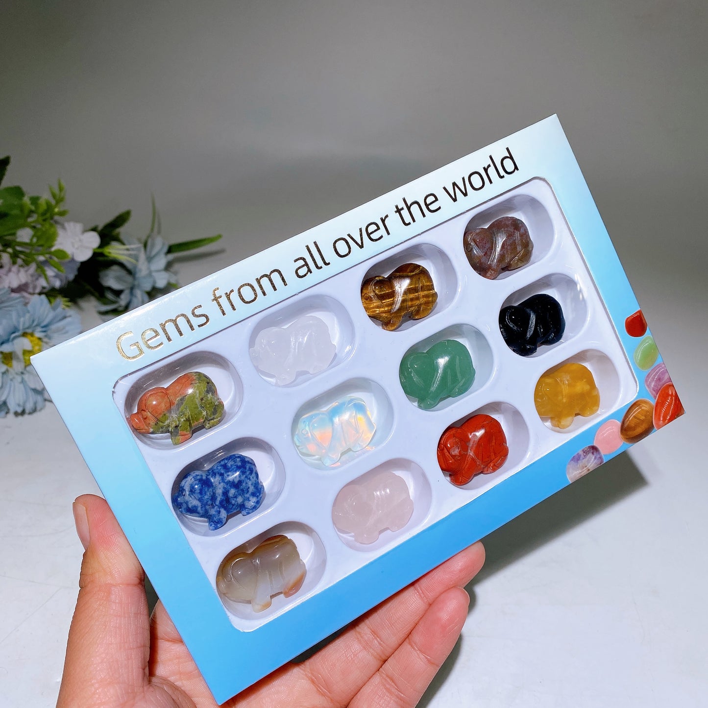 1.0" Crystal Pig Carving Gemstone Box Collection Crystal Healing Bulk Wholesale