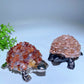 4.5" Mixed Crystal Chips Tortoise Turtle Free Form Bulk Wholesale