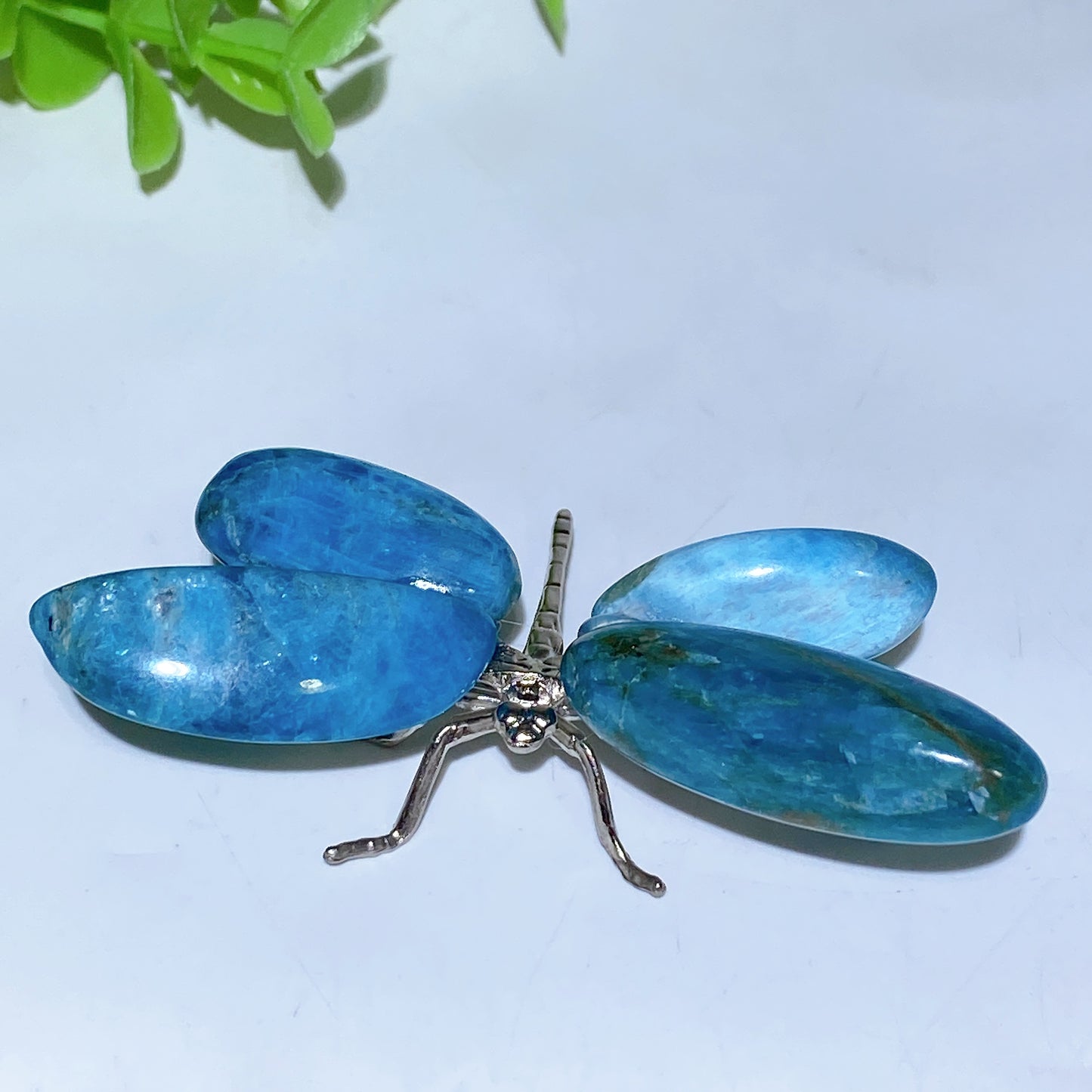 2.5"-3.2" Crystal Dragonfly Free Form Crystal Healing Bulk Wholesale