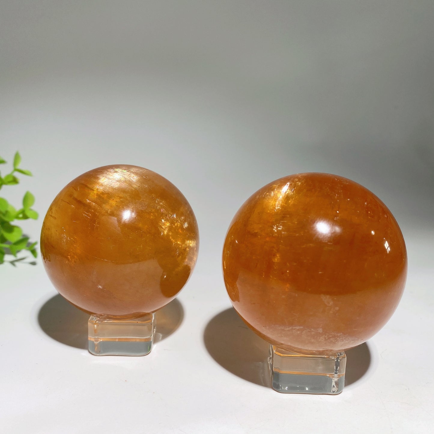 2.0"-2.5" Natural Honey Calcite Sphere Crystal Healing Bulk Wholesale