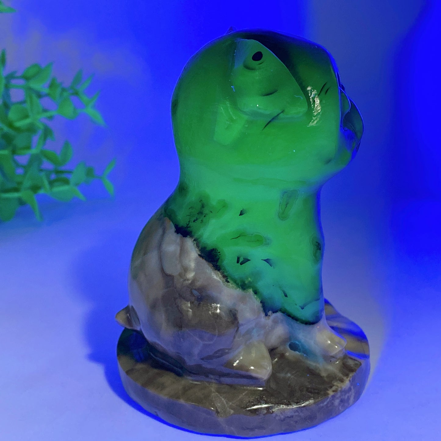 3.8" UV  Reactive Volcanic Agate Pug Dog Carvings Bulk Wholesale