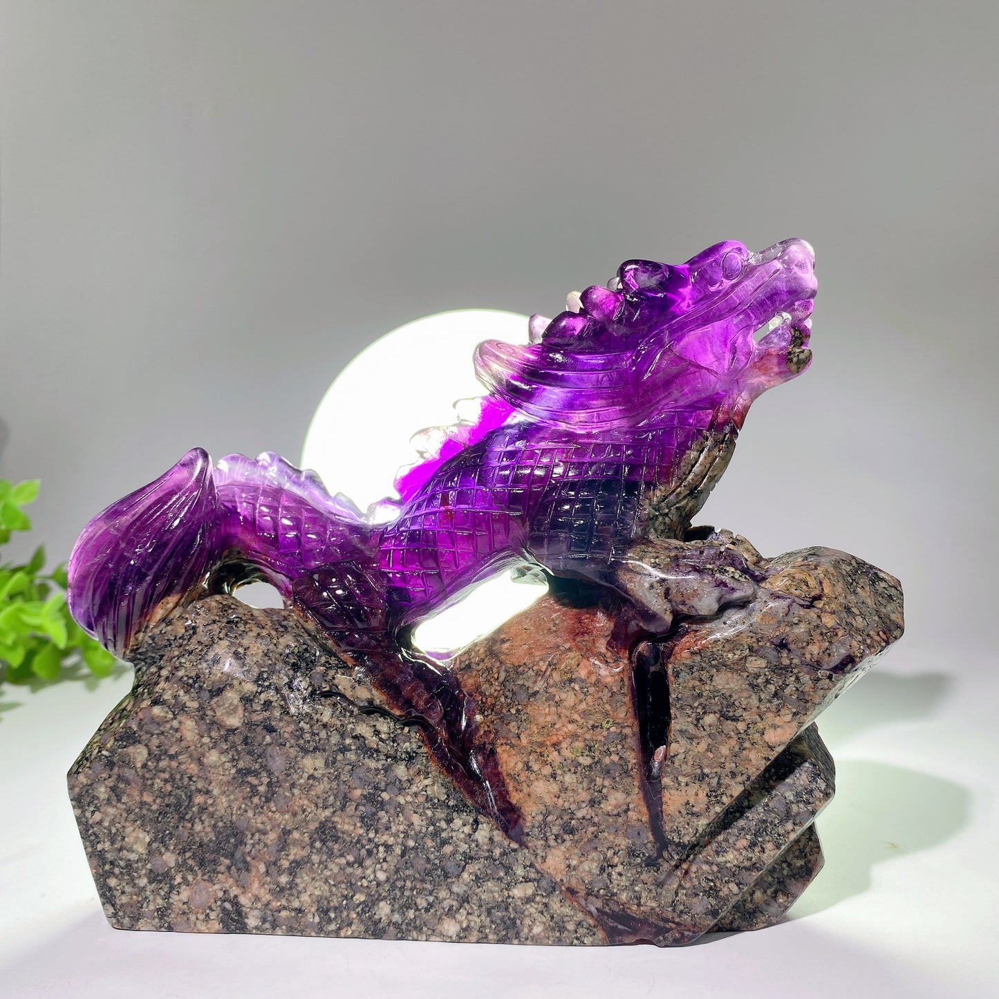 5.3"-8.5" Unique Fluorite Dragon Carvings Bulk Wholesale