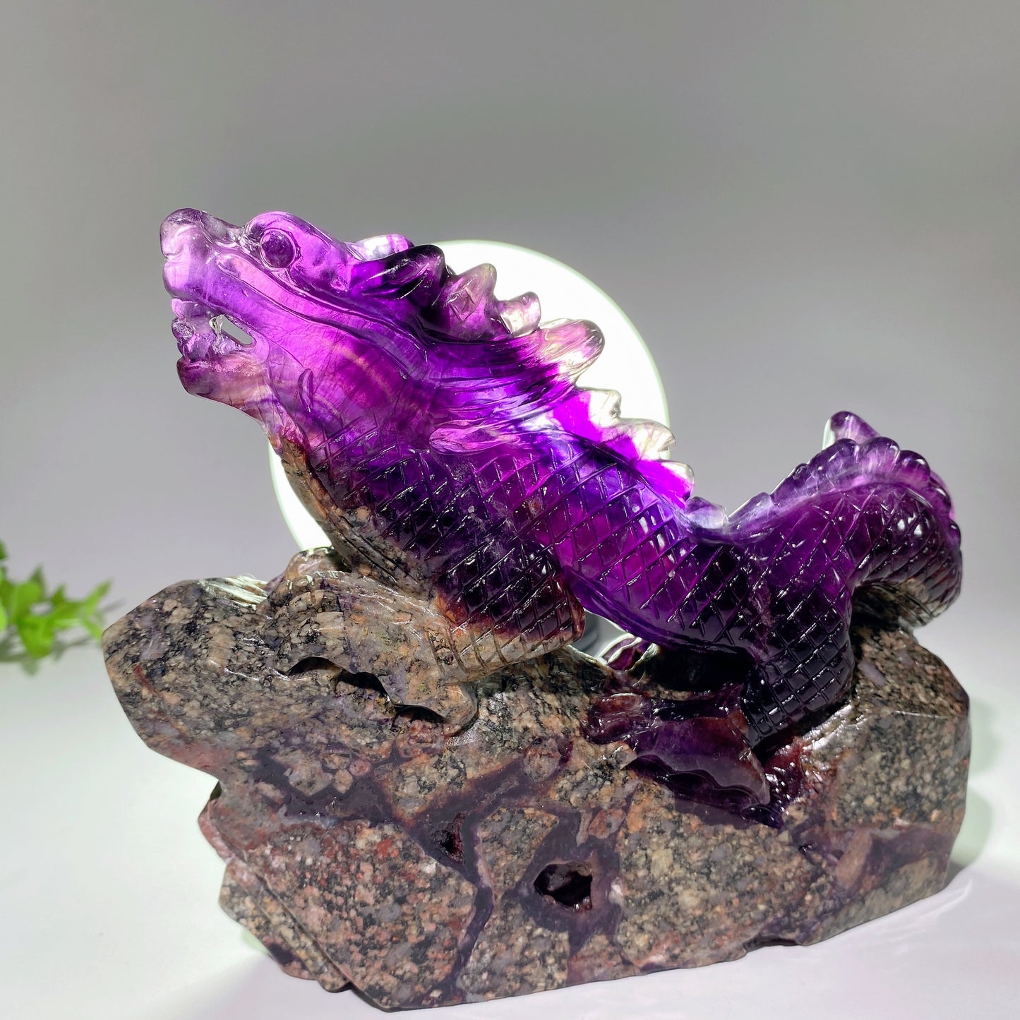 5.3"-8.5" Unique Fluorite Dragon Carvings Bulk Wholesale