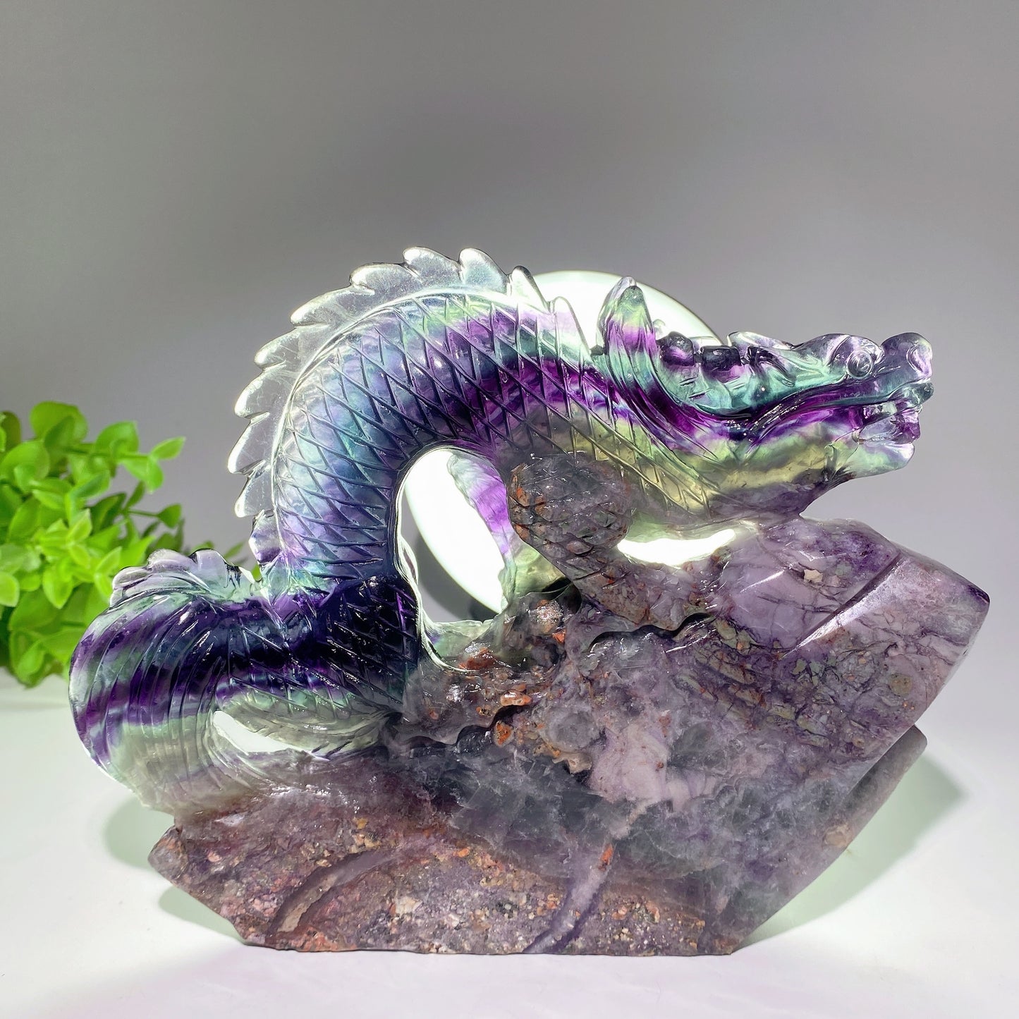 5.3"-8.5" Unique Fluorite Dragon Carvings Bulk Wholesale