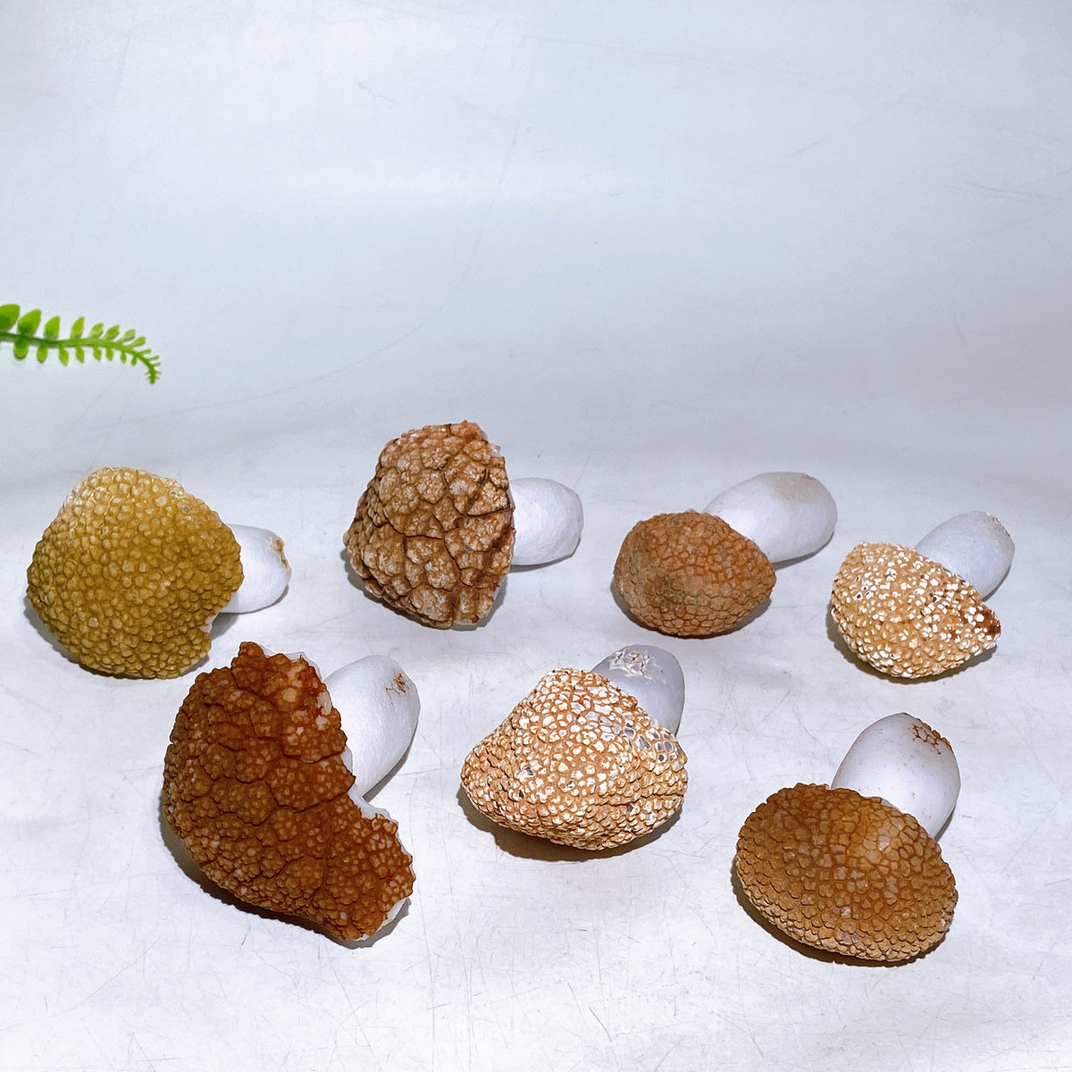 2.5"-3.3" Natural Agate Mushroom Carving Wholesale New Arrival