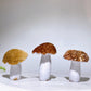 2.5"-3.3" Natural Agate Mushroom Carving Wholesale New Arrival