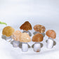 2.5"-3.3" Natural Agate Mushroom Carving Wholesale New Arrival