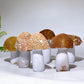 2.5"-3.3" Natural Agate Mushroom Carving Wholesale New Arrival