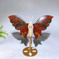 Natural Crystal Butterfly Wings with Stand Wholesale New Arrival