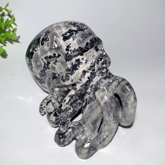 6.2" Picasso Stone Octopus Skull Cavings for Halloween Crystal Healing Bulk Wholesale