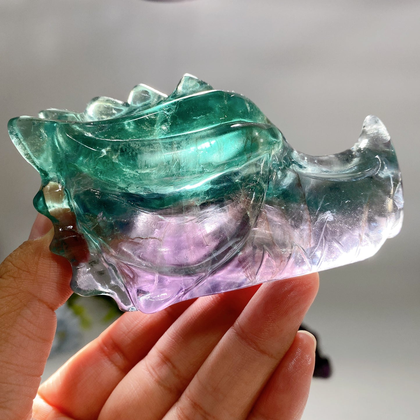 3.6" Fluorite Dragon Head Carvings Crystal Healing Bulk Wholesale