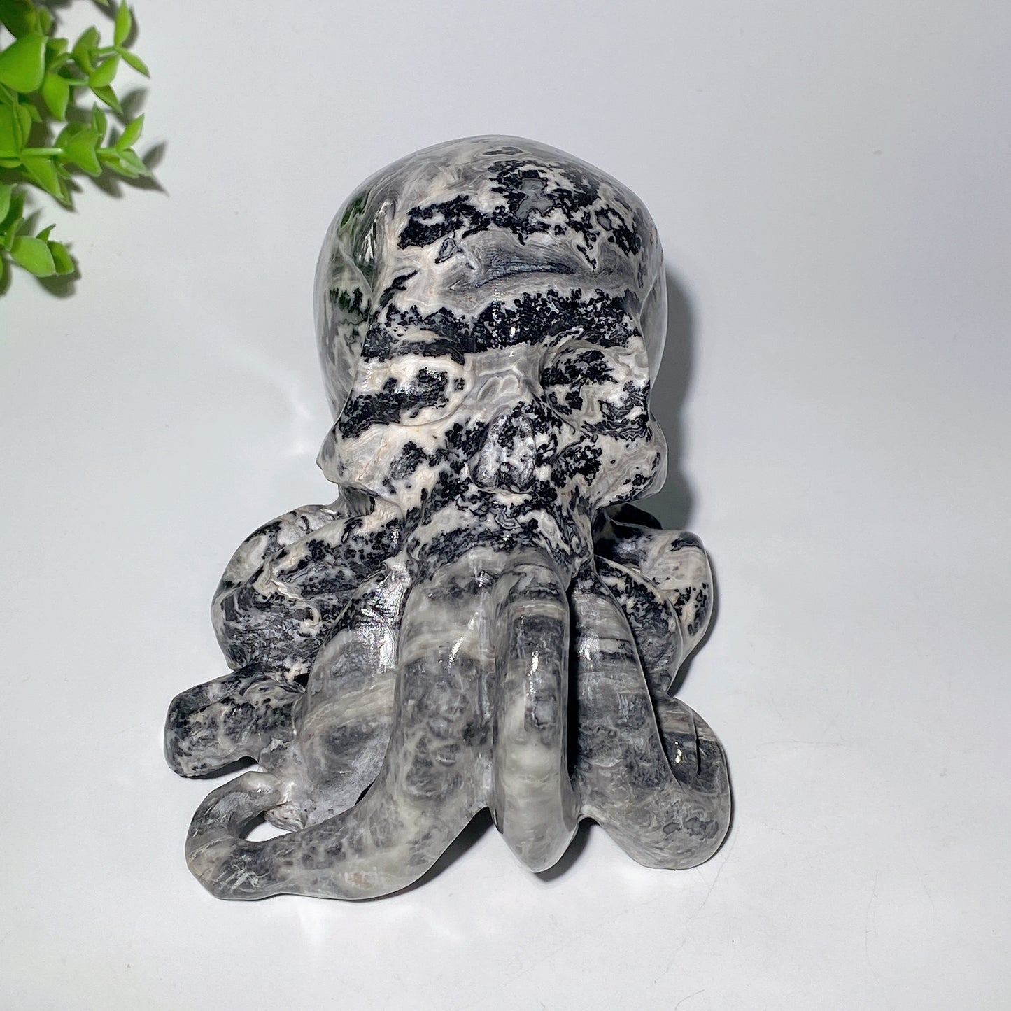 6.2" Picasso Stone Octopus Skull Cavings for Halloween Bulk Wholesale