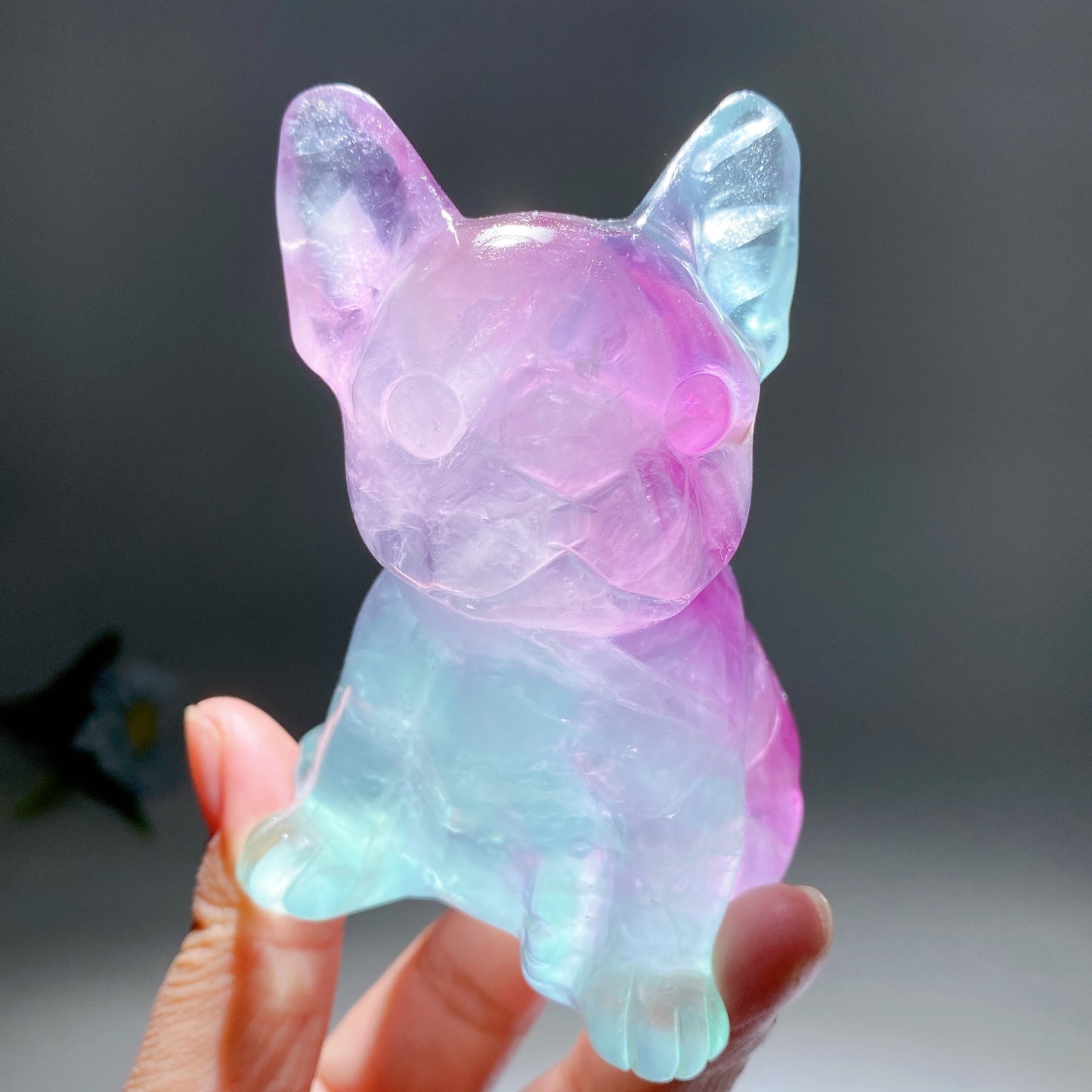 3.6" Green Purple Yellow Fluorite Dog Carvings Bulk Wholesale