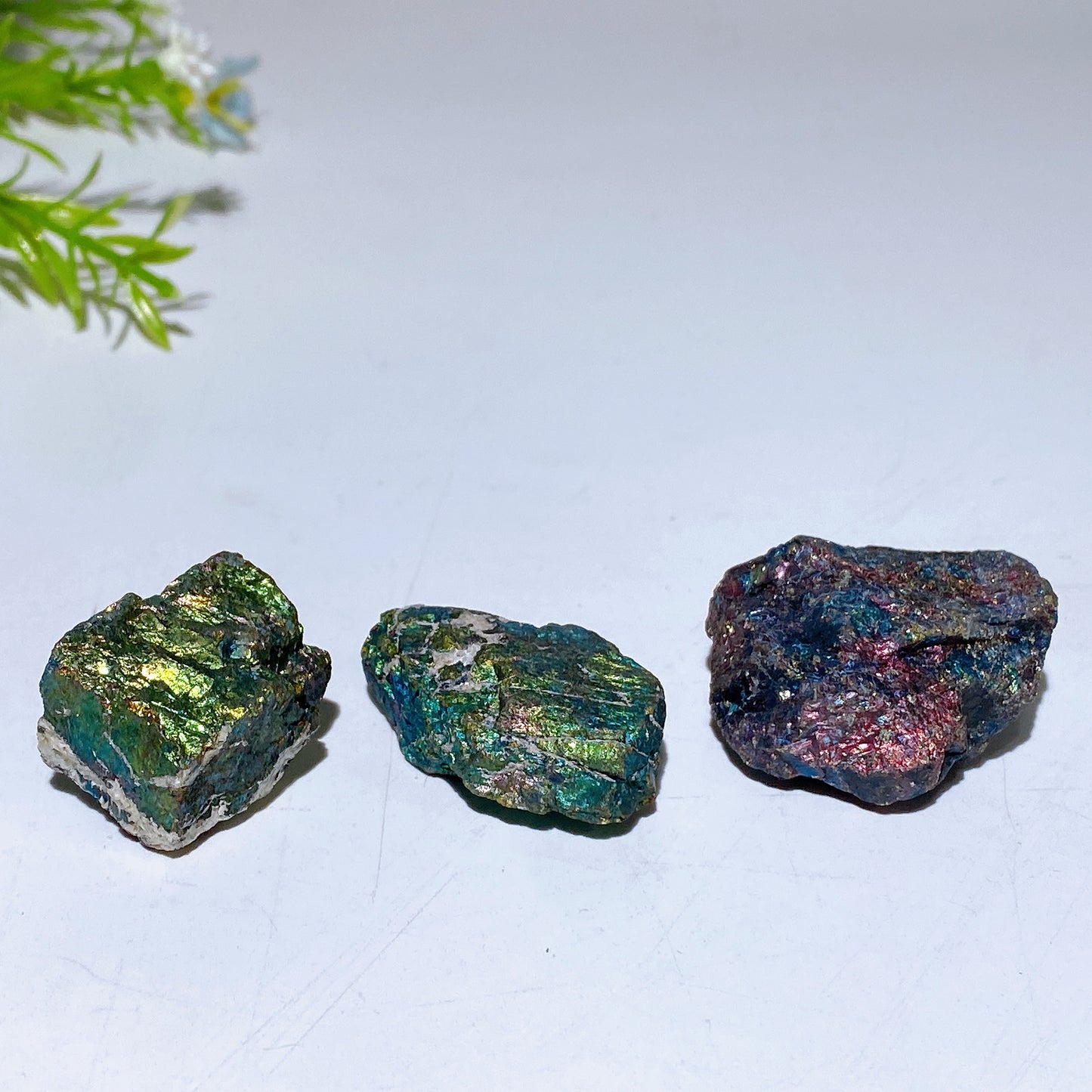 Bornite Raw Stone Bag Crystal Healing Bulk Wholesale