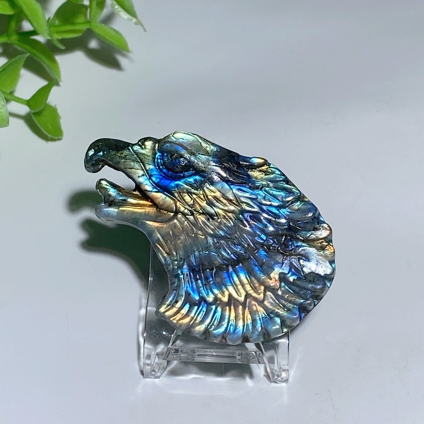 2.1" Labradorite Eagle Head Slab Carvings Crystal Healing Bulk Wholesale