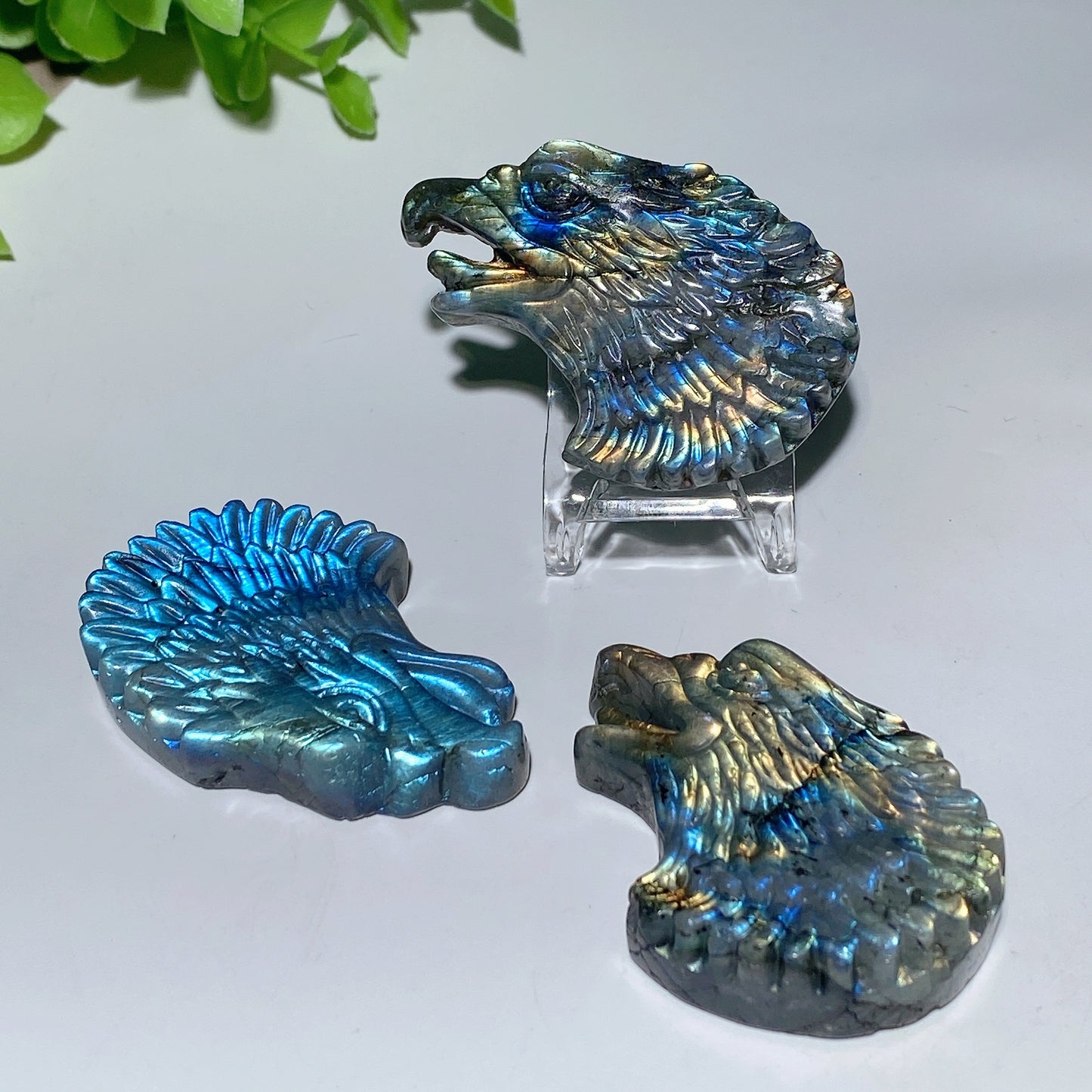 2.1" Labradorite Eagle Head Slab Carvings Crystal Healing Bulk Wholesale