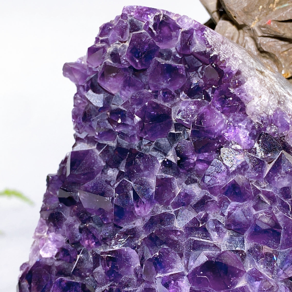 25cm Amethyst Cluster Dragon Egg with Dragon Carving Wholesale New Arrival