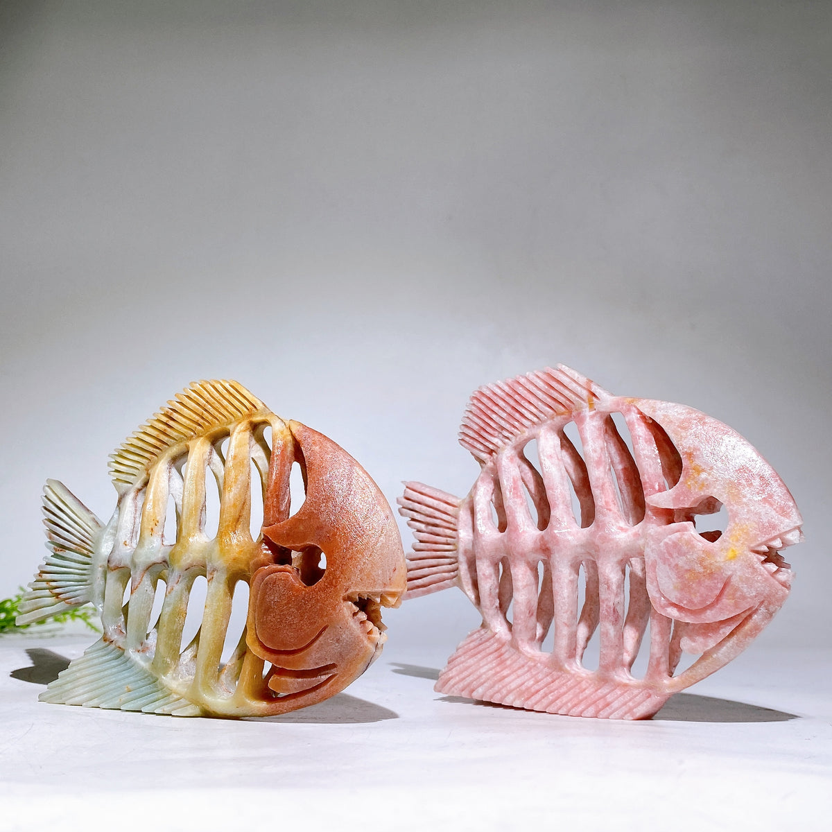 5.5" Natural Fish Skeleton Carving Wholesale New Arrival