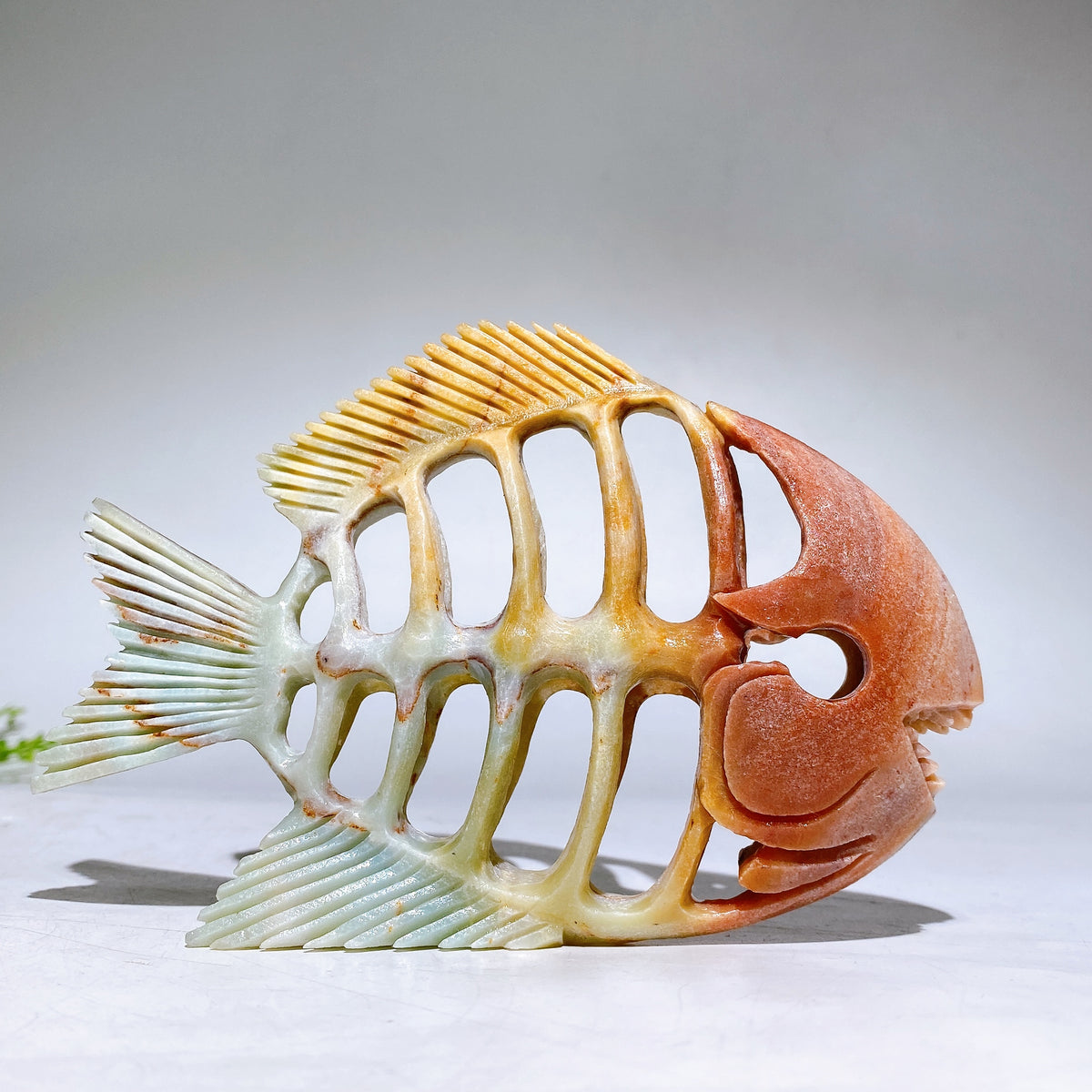5.5" Natural Fish Skeleton Carving Wholesale New Arrival