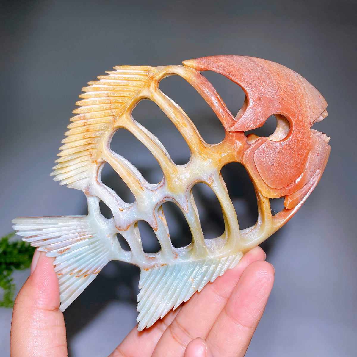 5.5" Natural Fish Skeleton Carving Wholesale New Arrival