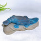 20cm Unique Trolleite Duckbill Carving Wholesale New Arrival