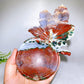 16.5cm Ocean Jasper Bowl Carving Wholesale New Arrival