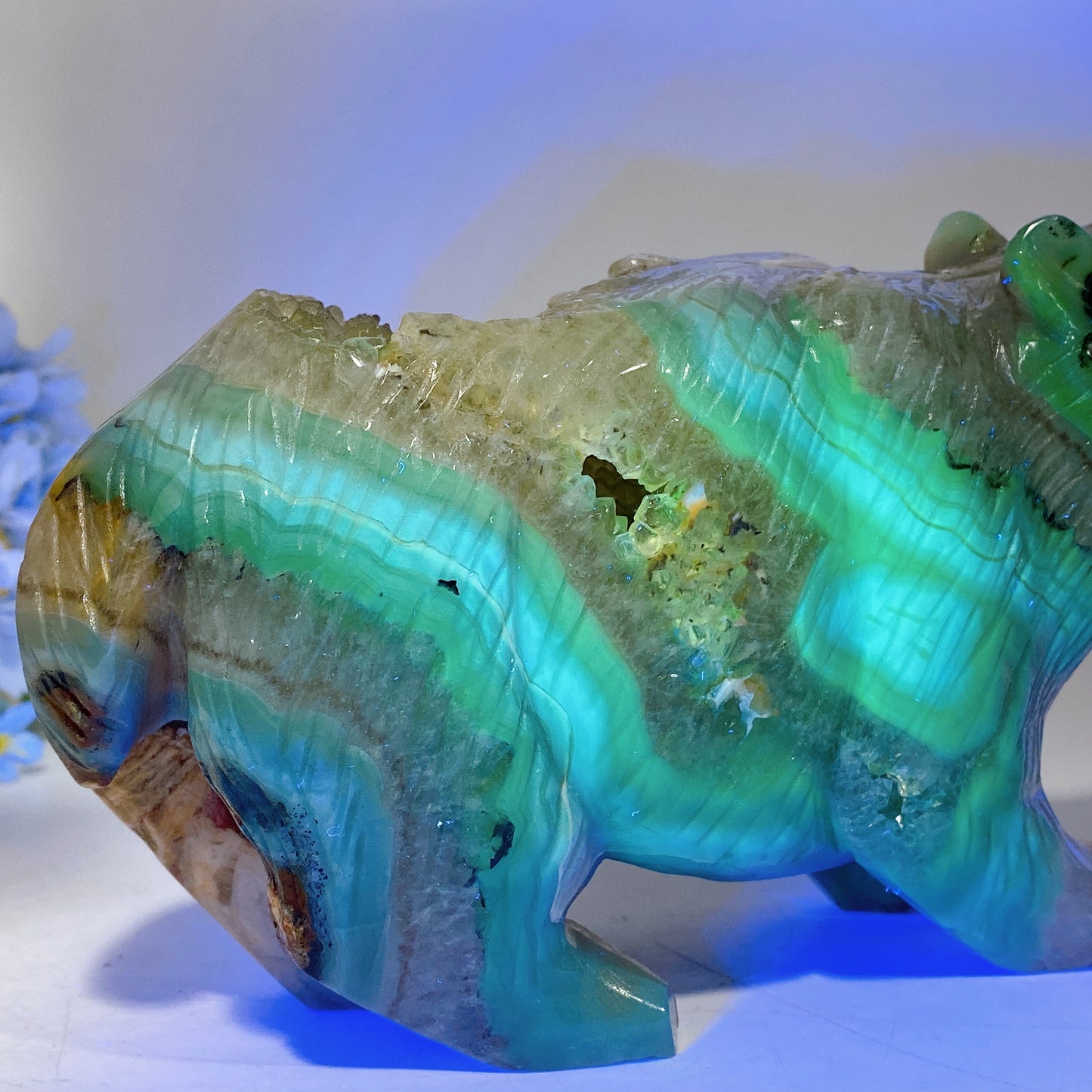 22cm Large Unique Druzy Volcanic Agate Bear Carving Crystal Healing Bulk Wholesale