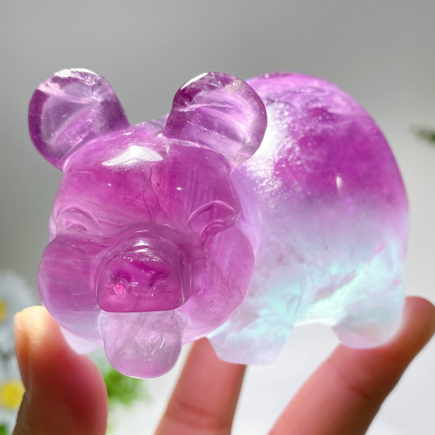 3.8" Fluorite Pig Carvings Bulk Wholesale