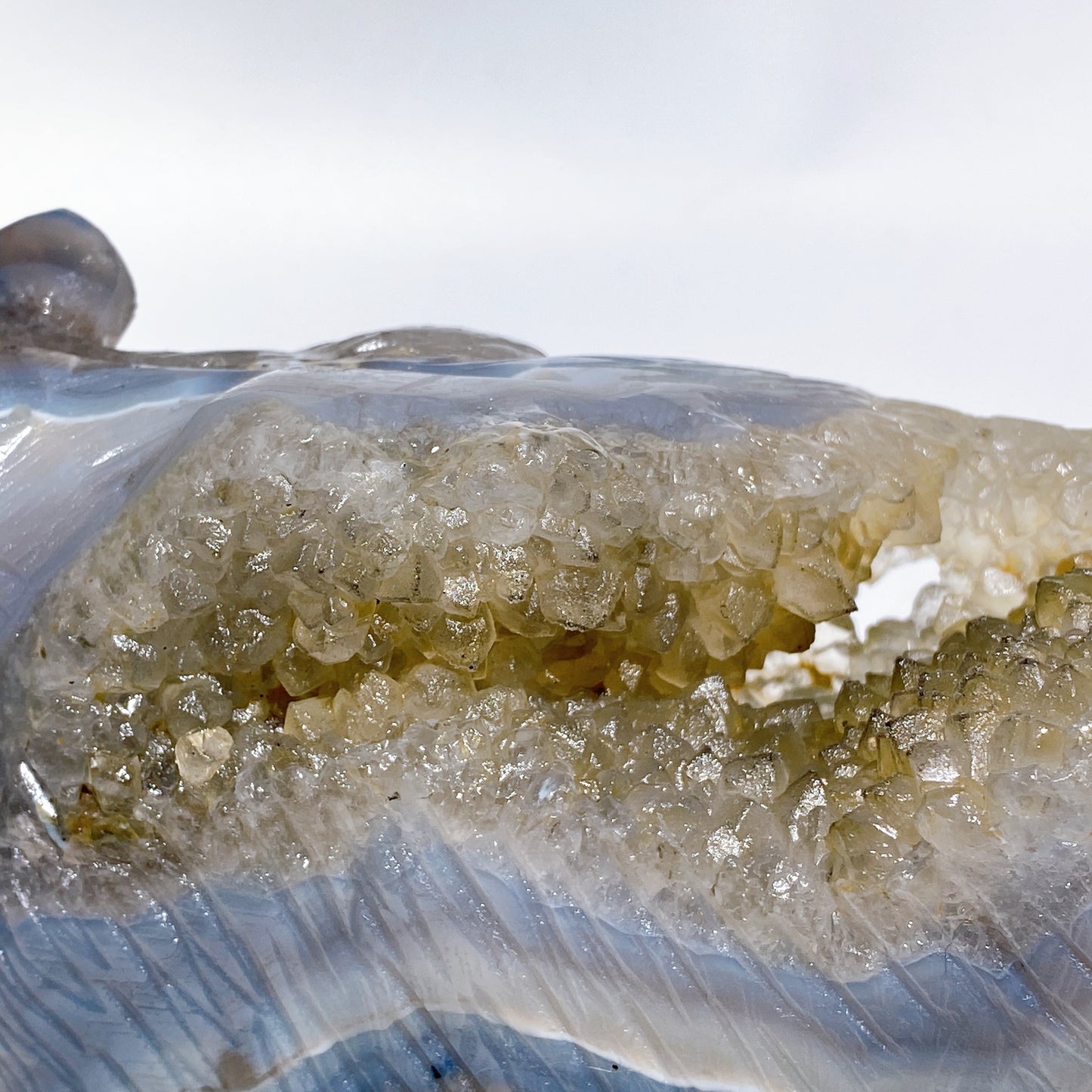 22cm Large Unique Druzy Volcanic Agate Bear Carving Crystal Healing Bulk Wholesale