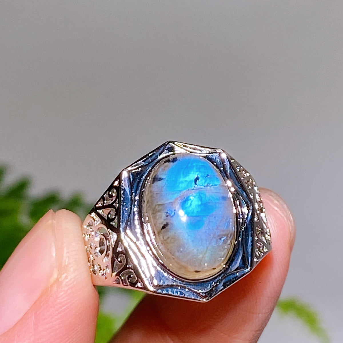 Copper Coated Plated Labradorite Ring Wholesale New Arrival