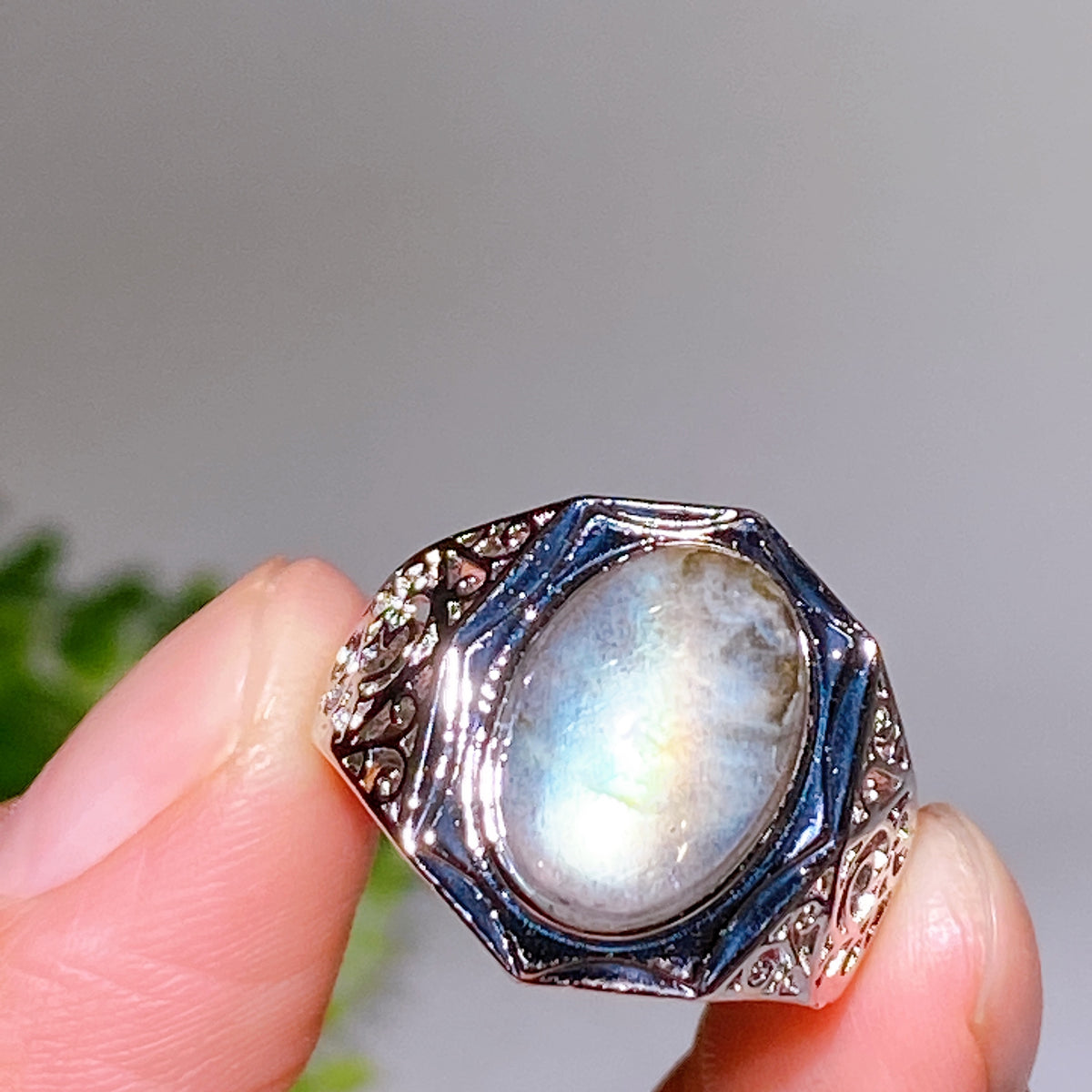 Copper Coated Plated Labradorite Ring Wholesale New Arrival