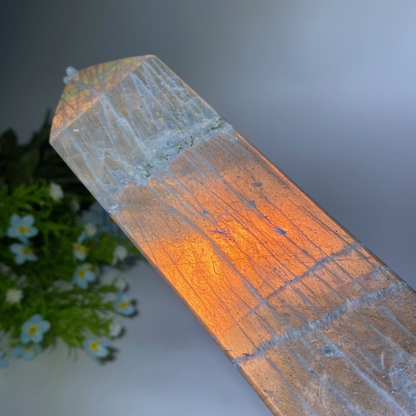 42cm Large Sunset Flash Labradorite Tower with Wooden Stand Bulk Wholesale